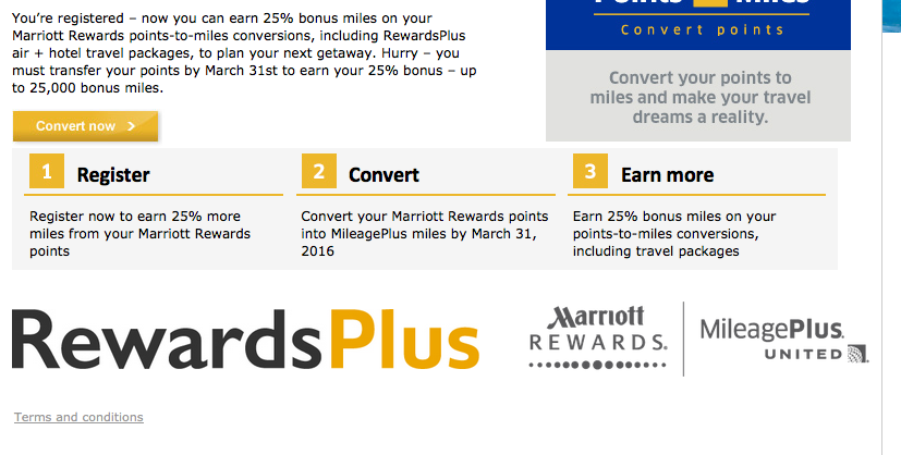 gerenommeerd Wintino Casino cashback-bonus aanbieding in Netherlands
