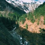 Processed with VSCO with c1 preset