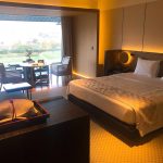 ritz carlton 9