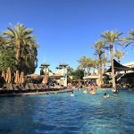 paradisepool