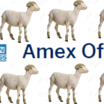 amex-offers