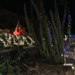 canyon-suites-cactus-garden-night