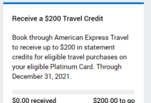 Amex白金卡今年的$200 Amex Travel报销可以开始用了