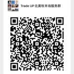 wechat-group-1