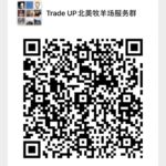 wechat-group