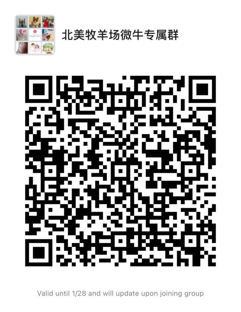 This image has an empty alt attribute; its file name is webull-wechat-1-791x1024.jpeg